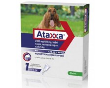 Krka Ataxxa Roztwór do nakrapiania dla psów o masie ciała od 25 do 40kg 