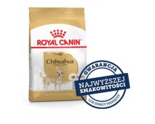 Royal Canin Chihuahua Adult karma sucha dla psów dorosłych