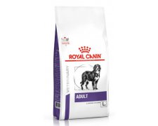 Royal Canin Adult Large karma dla dorosłych psów ras dużych od 25 kg po zabiegu sterylizacji lub z tendencją do nadwagi