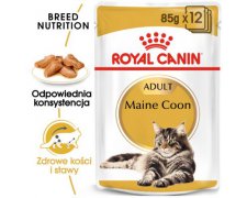 Royal Canin Maine Coon karma mokra w sosie dla kotów dorosłych rasy maine coon saszetka 85g