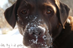 Buba lubi śnieg :)
