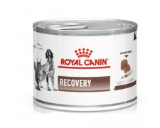 Royal Canin Recovery Mousse puszka 195g