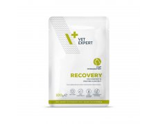 VetExpert 4T Diet Recovery Cat w okresie rekonwalescencji saszetka 100g