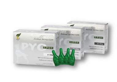 Dermoscent PYOspot dla psa 20-40 kg do zwalczania ropnych zapaleń skóry i zakażeń wywołanych przez drożdżaki z rodzaju Malassezia 