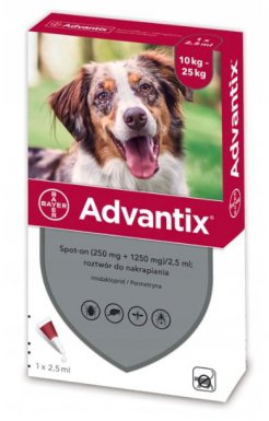Bayer Advantix dla psów od 10 do 25kg