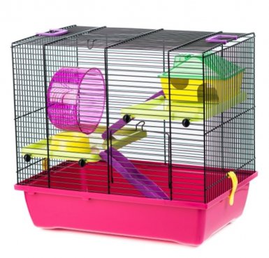 Inter-Zoo Klatka Gino 1 Colour + PL G043 klatka dla małych gryzoni 42x29x38