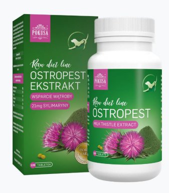 Pokusa RawDietLine Ostropest ekstrakt w tabletkach na wątrobę 120szt.