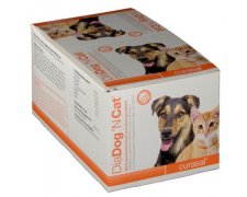 Dia Dog & Cat na zaburzenia żołądkowo jelitowe
