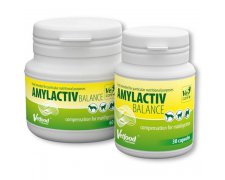 Vetfood Amylactiv Balance- preparat wspomagający trawienie u zwierząt z przewlekłymi chorobami przewodu pokarmowegoją
