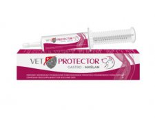 JM Sante Vet Protector Gastro Maślan preparat wspomagający funkcjonowanie przewodu pokarmowego 60ml 
