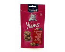 Vitakraft Yums SuperFood kawałki mięsa z dodatkiem sera dla kota 40g