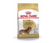 Royal Canin Dachshund Adult karma sucha dla psów dorosłych rasy jamnik