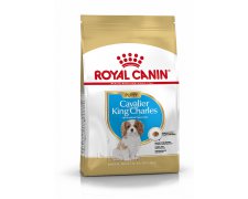 Royal Canin Cavalier King Charles Puppy karma sucha dla szczeniąt do 10 miesiąca