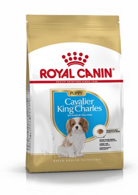 Royal Canin Cavalier King Charles Puppy karma sucha dla szczeniąt do 10 miesiąca