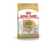 Royal Canin Labrador Retriever Adult karma sucha dla psów dorosłych