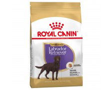 Royal Canin Labrador Retriever Sterilised Adult karma sucha dla psów dorosłych - sterylizowanych