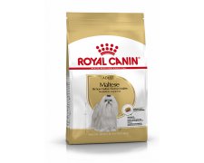 Royal Canin Maltese Adult karma sucha dla psów dorosłych