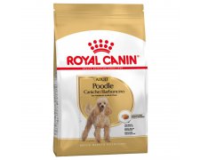 Royal Canin Poodle Adult karma sucha dla psów dorosłych