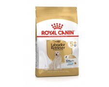 Royal Canin Labrador Ageing 5 + karma sucha dla psów starszych rasy Labrador Retriver