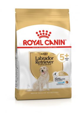 Royal Canin Labrador Ageing 5+ karma sucha dla psów starszych rasy Labrador Retriver