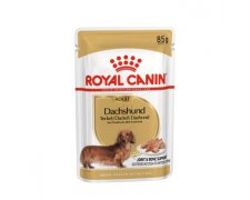 Royal Canin Dachshund saszetka 85g