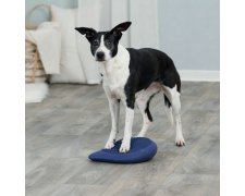 Trixie Dog Activity poduszka do ćwiczenia równowagi 28x4x28cm