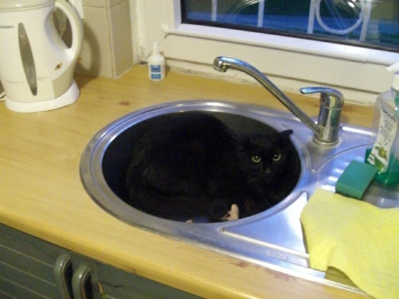 Ksawery w kuchni robi swoje porządku