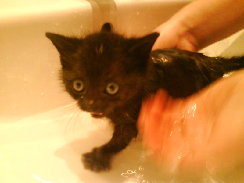 Chyba nie lubię kąpieli