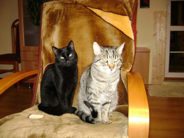 Kawałek naszej rodzinki