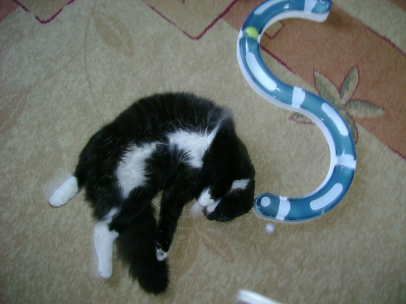 też tak potrafię ;)