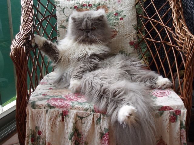 Mała księżniczka :-)