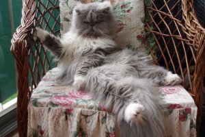 Mała księżniczka :-)