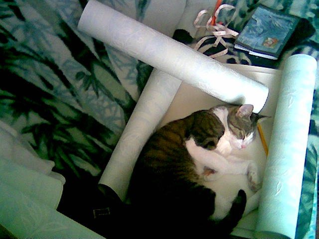 Robota nie wykonana - asystent zasnął...