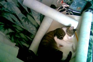 Robota nie wykonana - asystent zasnął...