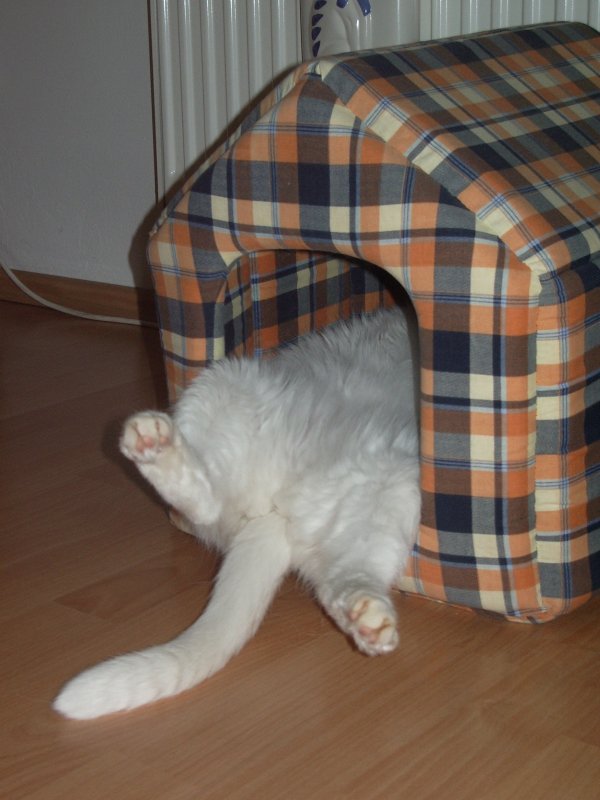 popołudniowa drzemka