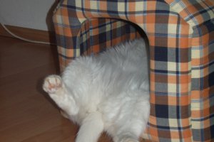 popołudniowa drzemka