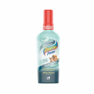 Dental Fresh Spray usuwa kamień nazębny i osad 118 ml