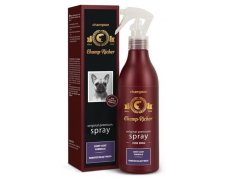 Champion Champ-Richer Spray nabłyszczający 250ml