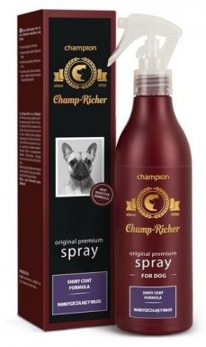 Champion Champ-Richer Spray nabłyszczający 250ml