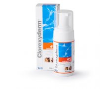 ICF Clorexyderm Foam 4% pianka bakterio i grzybobójcza 100ml