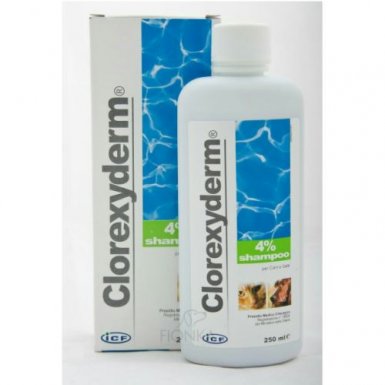 ICF Clorexyderm Shampoo 4% -ostre i przewlekłe zapalenia skóry 250ml