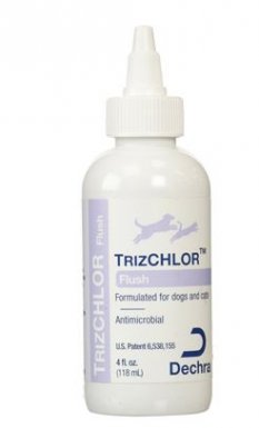Dechra Trizchlor Flush Przeciwbakteryjny roztwór dla psów i kotów 118ml 