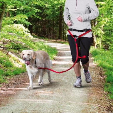 Trixie Bauchgurt mit Leine- smycz do joggingu z amortyzatorem