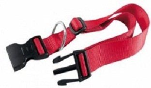 Ferplast Club obroża nylonowa dla psa 15mm/44cm
