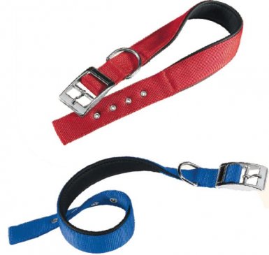 Ferplast Daytona Obroża dla psa 20mm/43cm