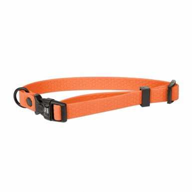 Barry King Obroża dla psa z wytrzymałej gumy 16mm 30-47cm