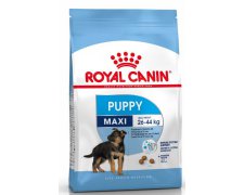 Royal Canin Maxi Puppy karma sucha dla szczeniąt, od 2 do 15 miesiąca życia, ras dużych 
