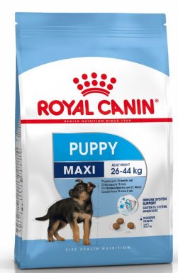 Royal Canin Maxi Puppy karma sucha dla szczeniąt, od 2 do 15 miesiąca życia, ras dużych 