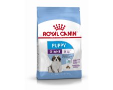 Royal Canin Giant Puppy karma sucha dla szczeniąt, od 2 do 8 miesiąca życia, ras olbrzymich