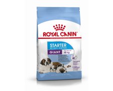 Royal Canin Giant Starter Mother&Babydog karma sucha dla szczeniąt do 2 miesiąca i suk karmiących ras olbrzymich